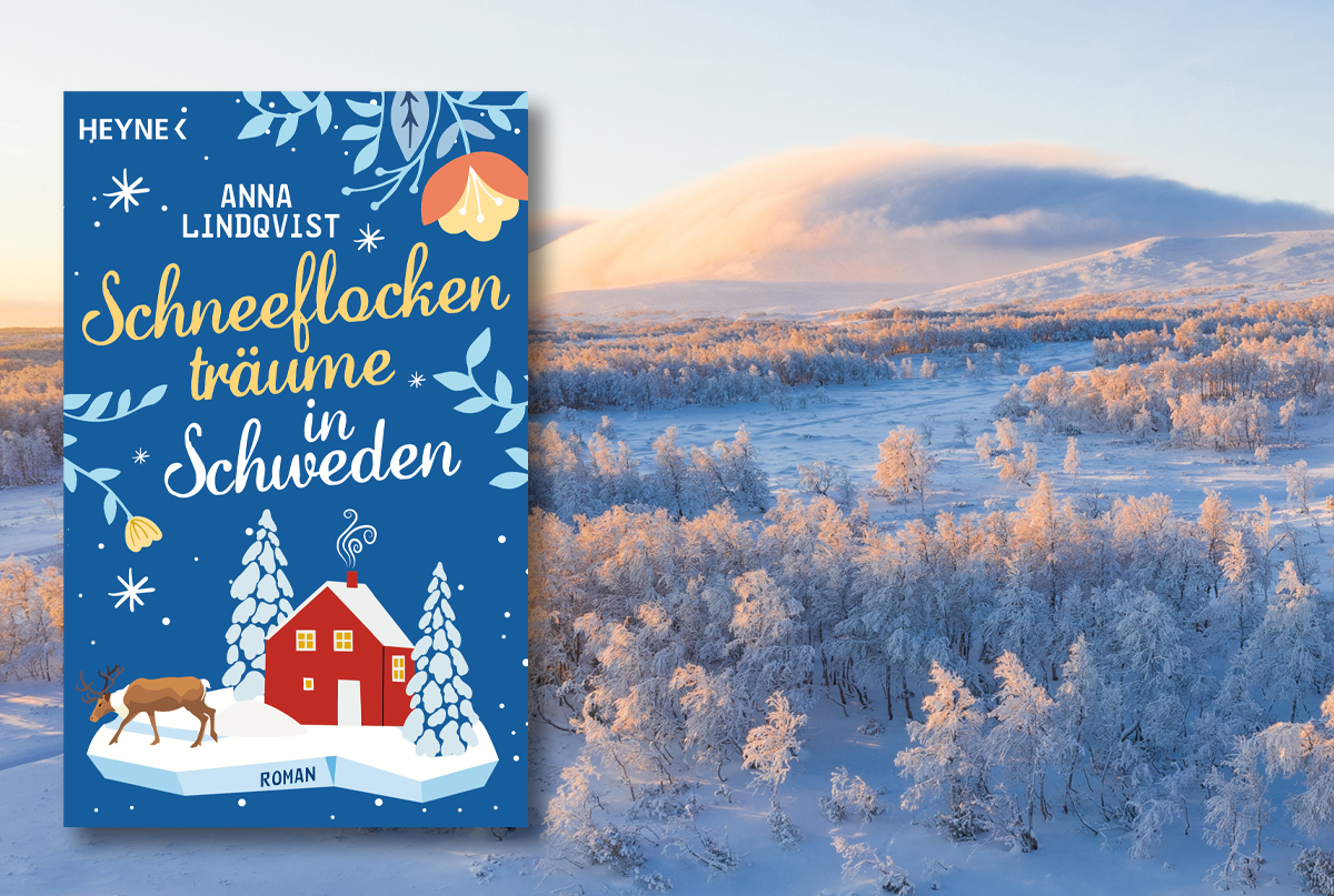 header Schneeflockenträume in Schweden